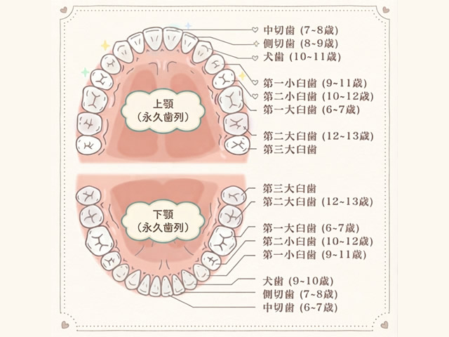 乳歯の抜歯